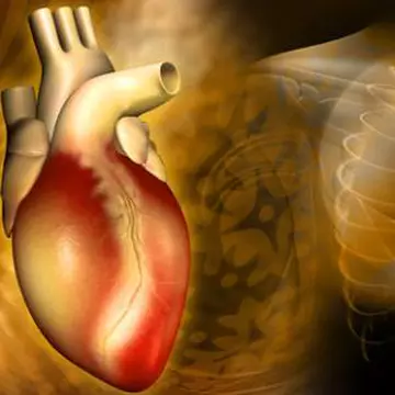 20 de lucruri pe care nu le ştiai despre inima ta