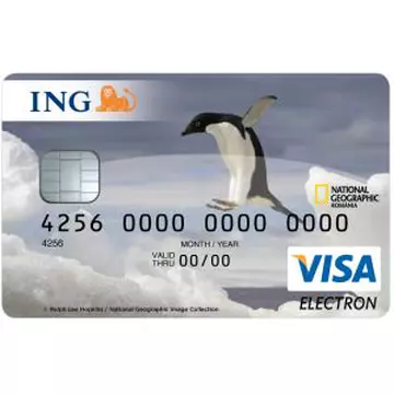 Un arădean şi-a băgat pinguinul în bancomat 
