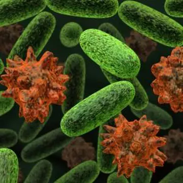 NASA a descoperit bacteria care trăieşte în arsenic