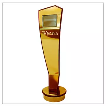 Câştigătorii premiilor TVmania 2010