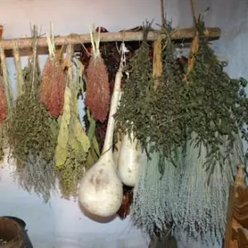 Cele mai ciudate leacuri băbeşti