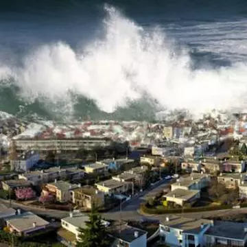 Supravieţuiri miraculoase în Japonia