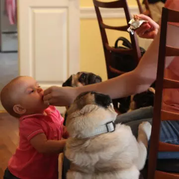 Află totul despre testul Papanicolau