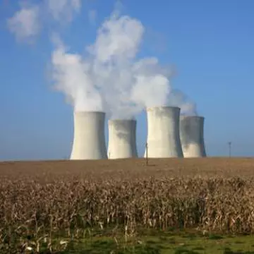 Particulele radioactive pot ajunge în mâncare şi apă