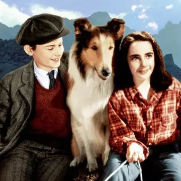 8 filme care ne-au bucurat copilăria