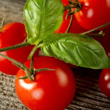 Roşii, ideale pentru dietă