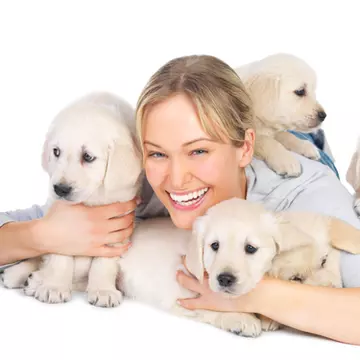 Ia-ţi animăluţul care ţi se potriveşte!