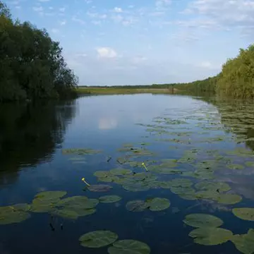 Delta Dunării, locul de care te vei îndrăgosti iremediabil