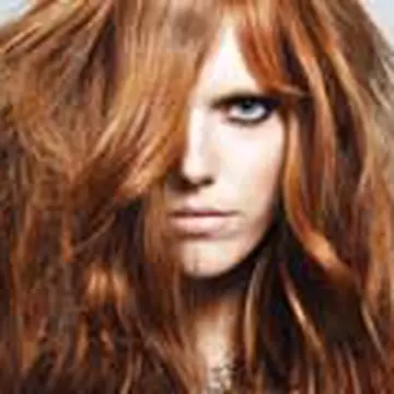 Anti frizz for hair