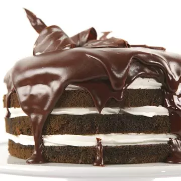 Tort de cacao cu frişcă