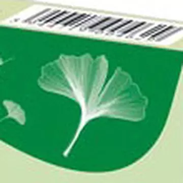Produsele cu Ginkgo biloba imbunatatesc circulatia la nivel cerebral
