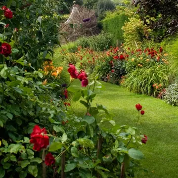 Grădina ta: Se poartă florile roşii