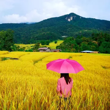 Ploaia te-a deprimat? Iată 5 tehnici care te ajută să vezi viaţa în roz