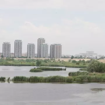 Lacul Văcăreşti din Bucureşti va fi declarat arie protejată