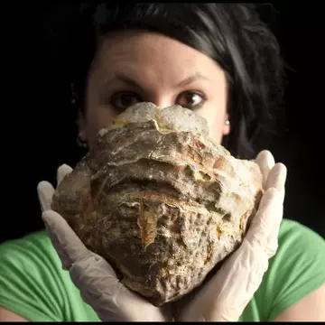 Inedit: Cea mai mare perlă din lume. Are 145 de milioane de ani