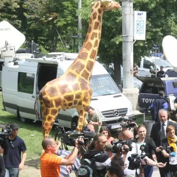 Girafa revine joi în faţa muzeului Antipa