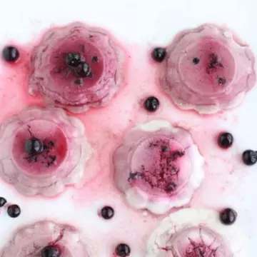 Reţete raw: Panna Cotta cu coacăze negre fără foc