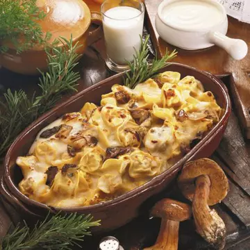 SPECIALITATE GRATINATĂ