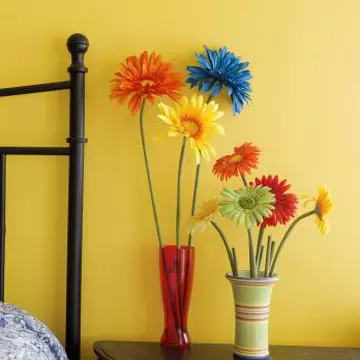 Feng Shui: Cum aduci pasiunea în dormitorul tău?