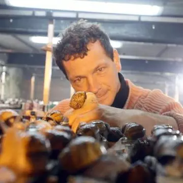 Sunt cu miile şi invadează întreaga planetă! Pericolul vine din Africa