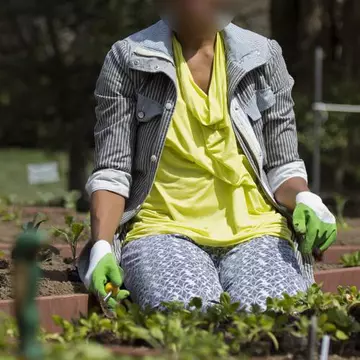 Ghiceşte vedeta: Cine este celebritatea care plantează spanac de primăvară?