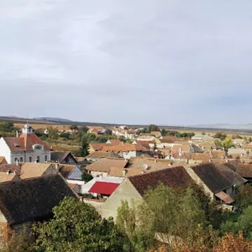 Călătorii: Scurt popas pe Drumul Vinului