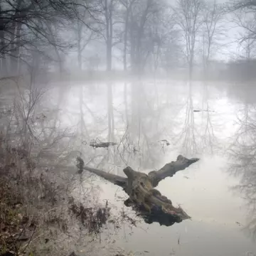Paranormal: Top cele mai bântuite parcuri