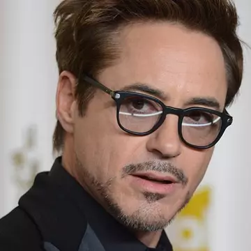 Robert Downey Jr. - Hoţul de iubire