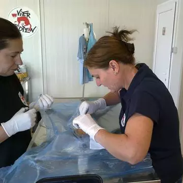 Se poate! Află unde au fost sterilizaţi, în 8 luni, peste 1.800 de maidanezi!