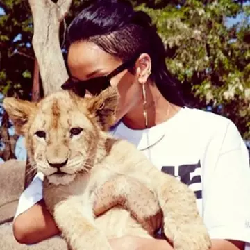 Poze: animale haioase care au devenit celebre