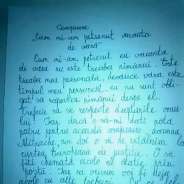 Un puşti român a rupt internetul cu această compunere