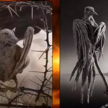 LACUL APOCALIPTIC: Animalele care ating APA se transformă în piatră! VIDEO