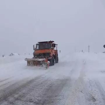 Cod galben de ninsori şi viscol în 15 judeţe 