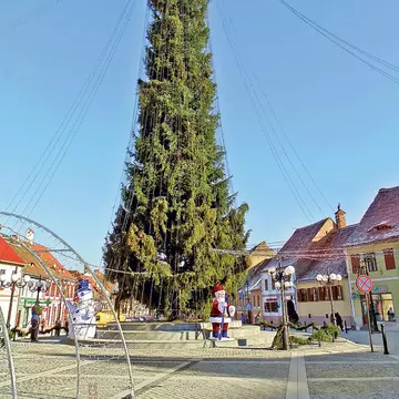 Cel mai înalt brad de Crăciun din România are 37 de metri! Unde îl poți vedea