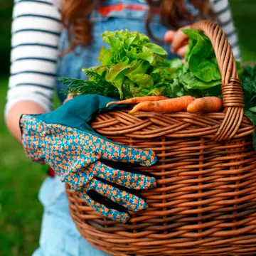 Creşti propriile legume? Uite ce flori le protejează! 