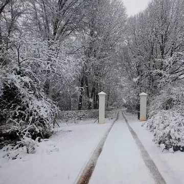 Cod galben de ninsori şi viscol. În ce judeţe vine iarna
