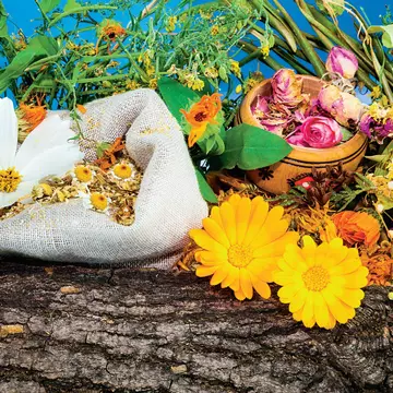 Tratamente naturiste pentru o digestie mai bună