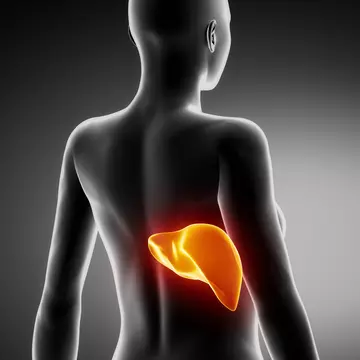Ficatul nu doare! Ce înseamnă de fapt durerile în dreapta