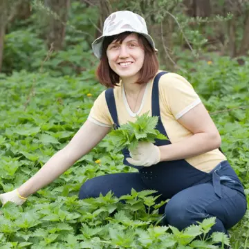 Dieta cu urzici. Slăbeşte cu un regim de detoxifiere