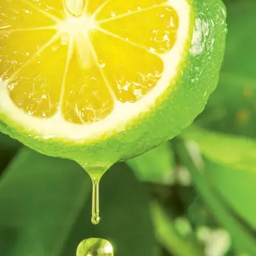 Tratamente naturiste pentru parodontoză