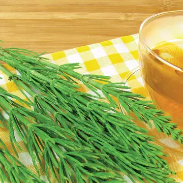 Tratamente naturale pentru infecţiile urinare recurente