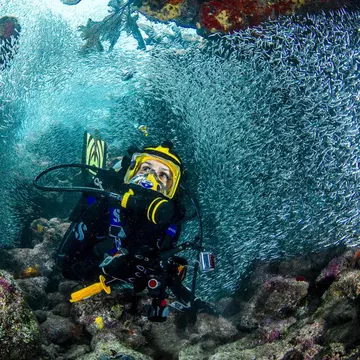 ASTA E CEA MAI FRUMOASĂ GALERIE FOTO A ANULUI! Un milion de peştişori înoată, o dată pe an, în peşteri subacvatice
