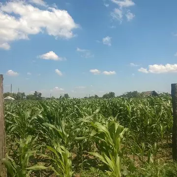 UN ROMÂN a rămas şocat când a văzut ce se afla în locul casei sale de VACANŢĂ DIN BRĂILA!