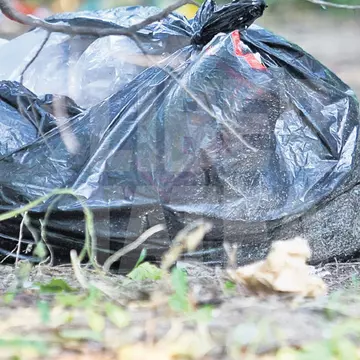 Şobolanii au pus stăpânire pe parcul IOR