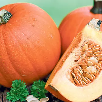 Știi cum să deosebești dovlecii? Știi care sunt buni pentru plăcintă, care pentru copt, care pentru decorațiuni? Află de aici totul, ca să fii perfectă în bucătărie