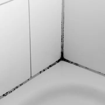 Cum scapi rapid de mucegaiul din baie