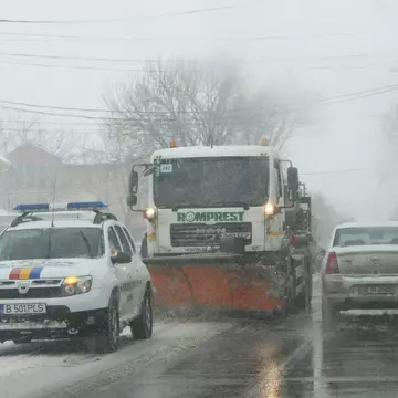 65 de maşini au fost avariate si peste 130 de copaci au fost doborâţi de vânt în Capitală