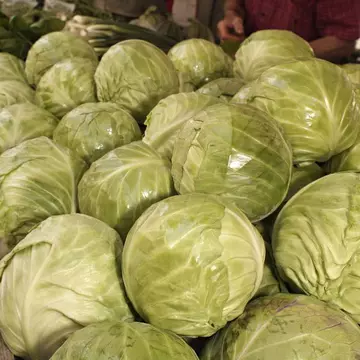 Tradiția spune că de Sfântul Dumitru se pune varza la murat