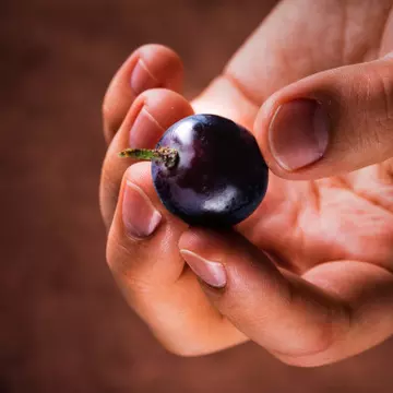 3 măşti pentru mâini cu ulei din sâmburi de strugure