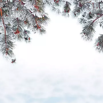 Horoscopul iernii. Cum ne va merge în decembrie, ianuarie si februarie